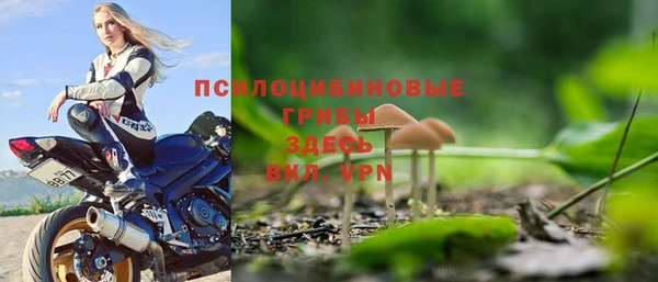 гидра Киреевск