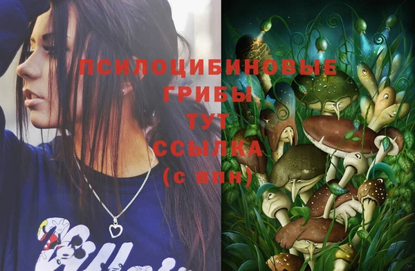 гидра Киреевск