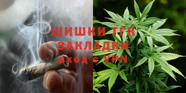 гидра Киреевск