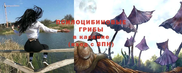 гидра Киреевск