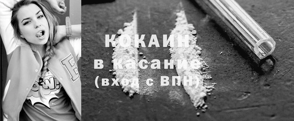 гидра Киреевск