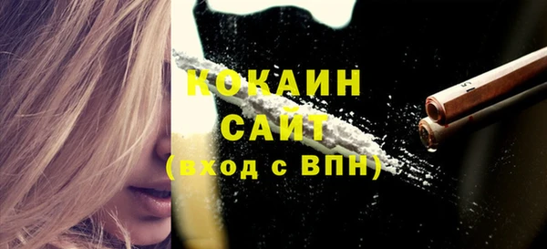 крисы Киренск