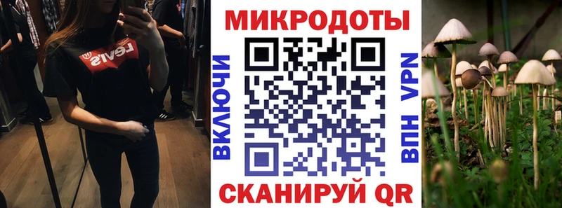 Купить где  Нижний Тагил  Галлюциногенные грибы мухоморы 